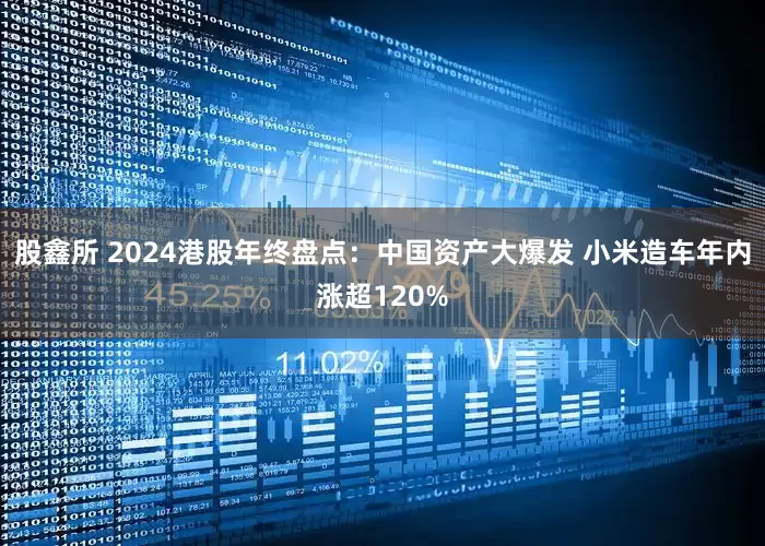 股鑫所 2024港股年终盘点：中国资产大爆发 小米造车年内涨超120%